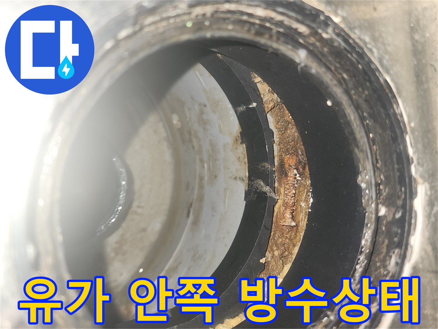 세탁실-유가-내부-방수층-파손-상태-확인