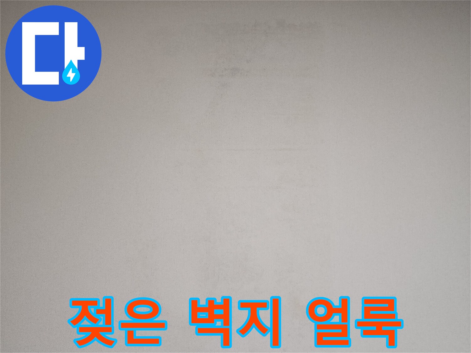 습기로-번진-벽지의-어두운-얼룩