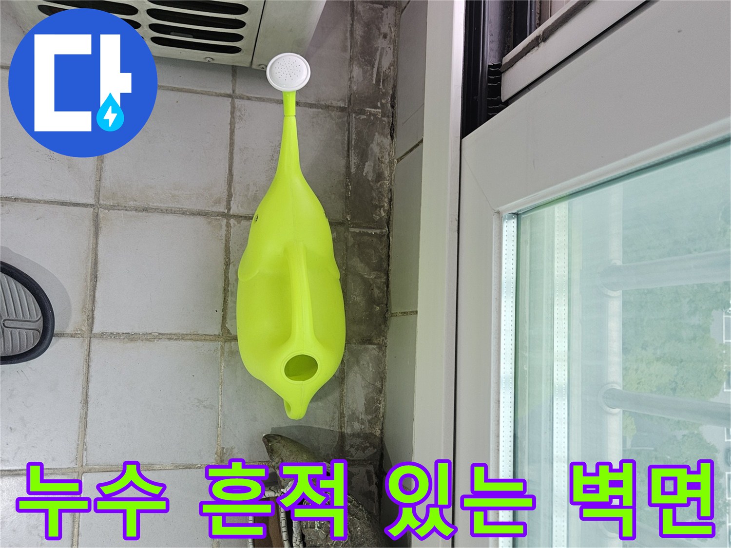 분당 정자동 현장 베란다 타일의 습기 및 변색 부위