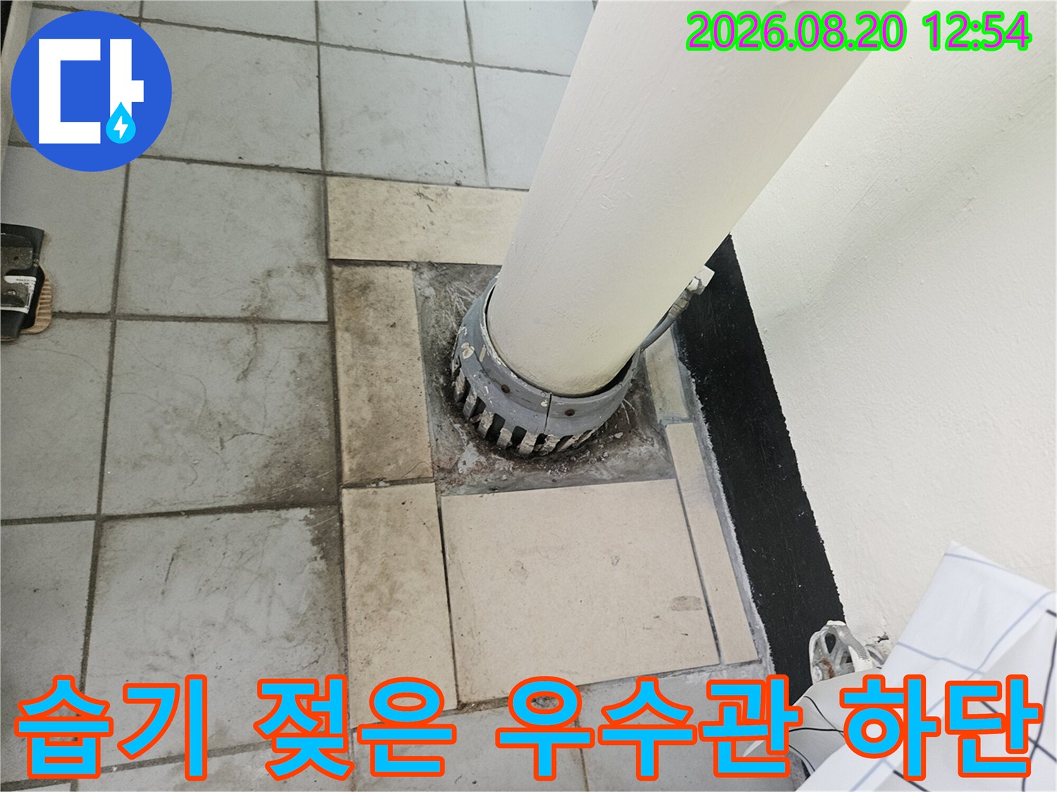 우수관 배관 주변의 물기 젖은 타일 부위