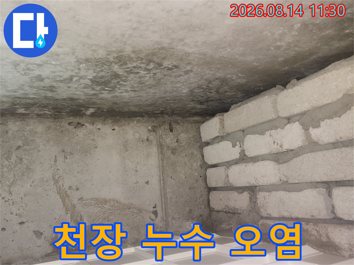 곰팡이와 습기로 오염된 아파트 천장 벽면