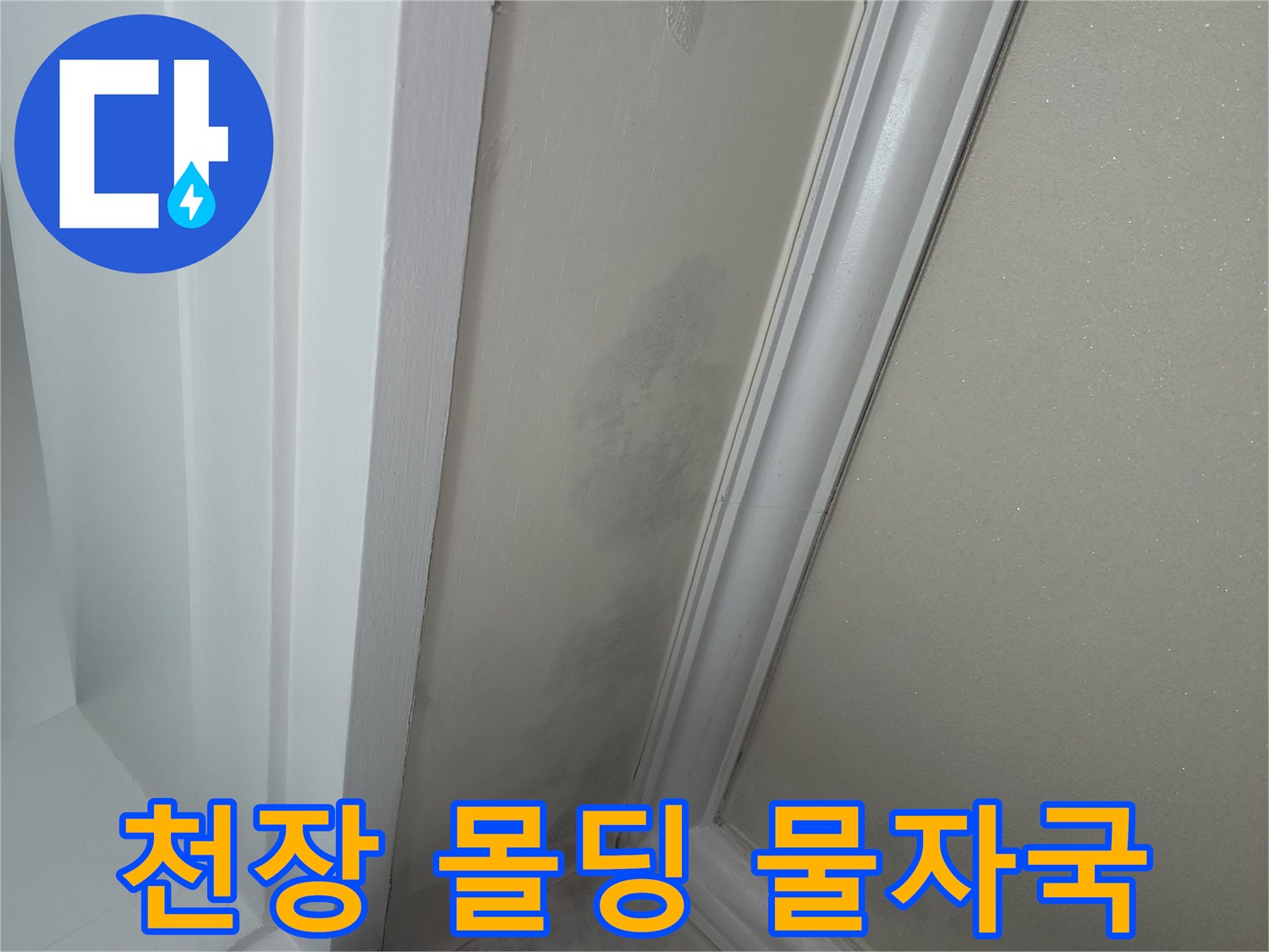 아파트-천장-몰딩-부근의-습기-및-물자국-현황