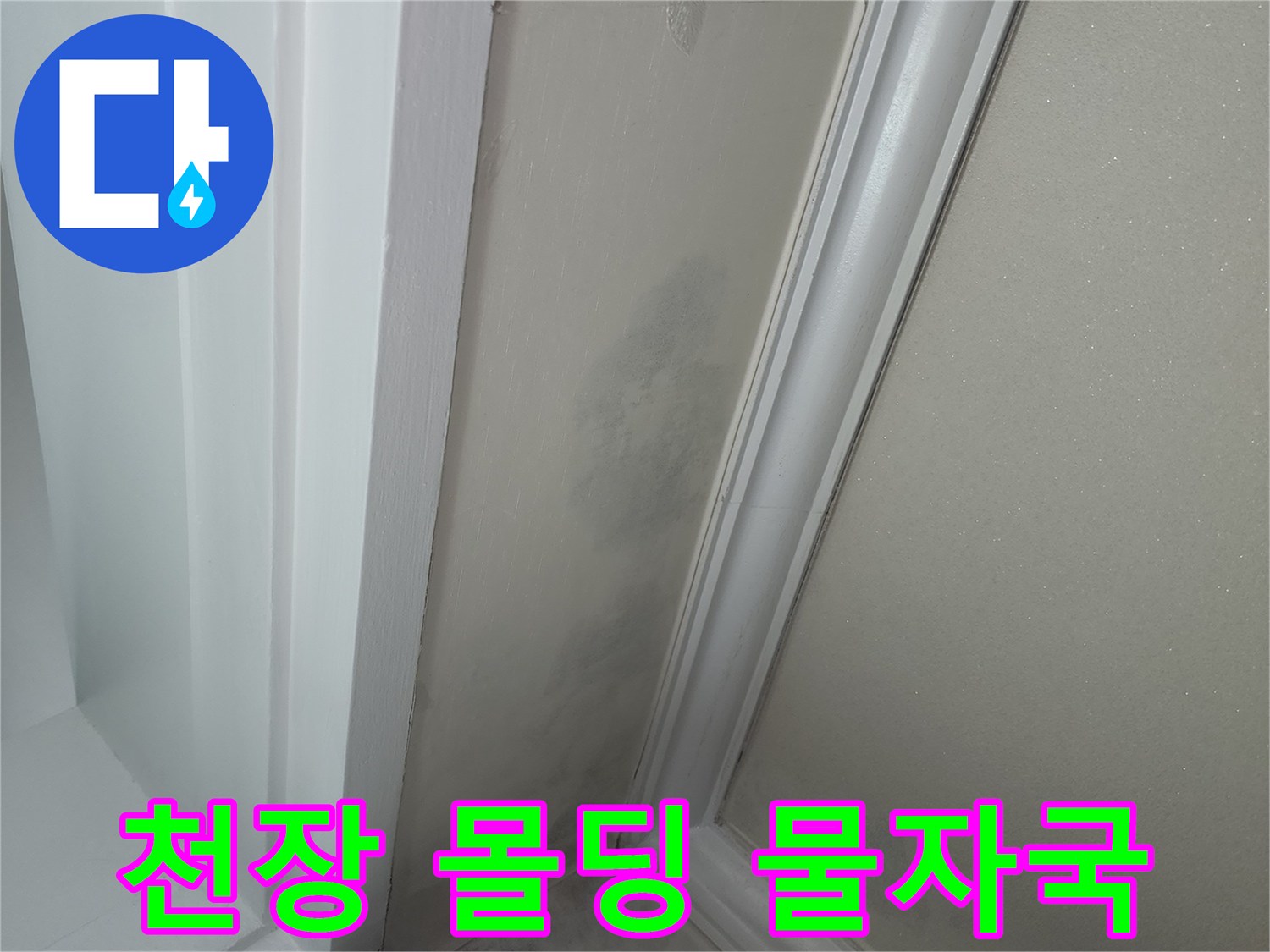 안양 아파트 천장 몰딩 부근의 누수 흔적 및 곰팡이 발생 상태