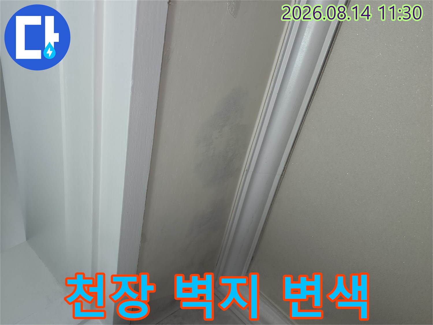 천장 구석 부분의 누수로 인한 벽지 오염 상태