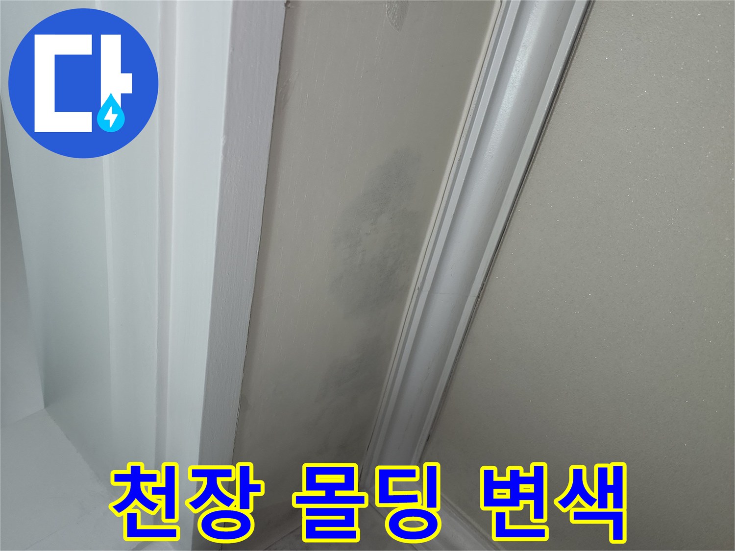 천장-몰딩-경계면의-젖은-벽지-상태