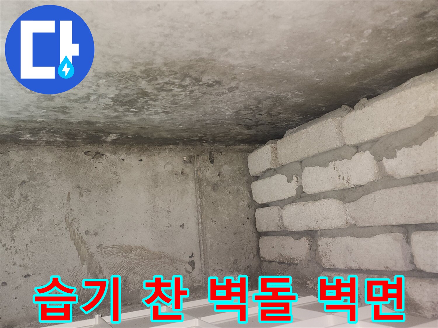 축축하게 젖은 듯한 벽돌 벽-누수로 인한 수분 침투 현상