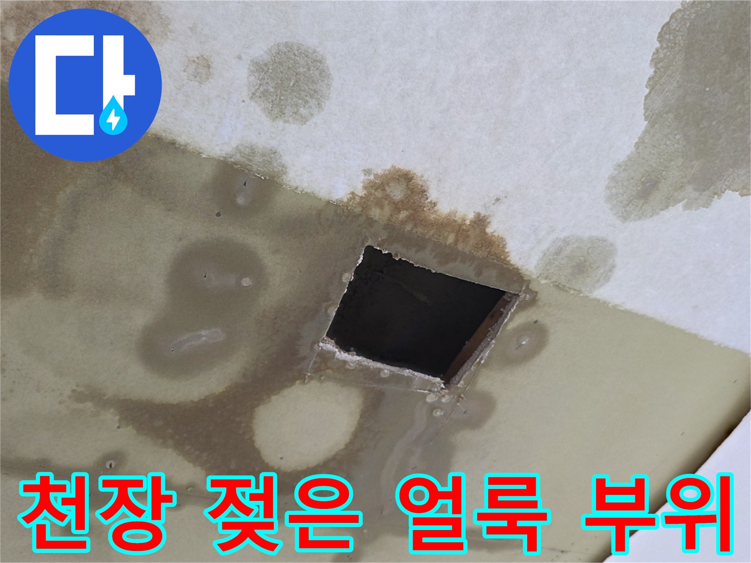 물이 스며들어 짙게 변한 천장의 모습입니다.