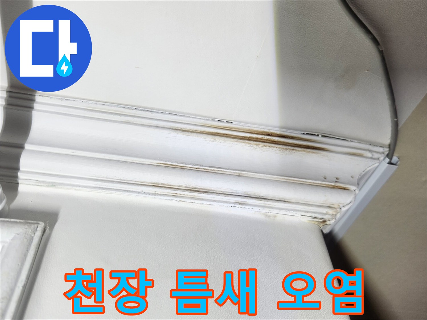 성내동 아파트 내부-천장 몰딩 사이로 번진 갈색 물자국
