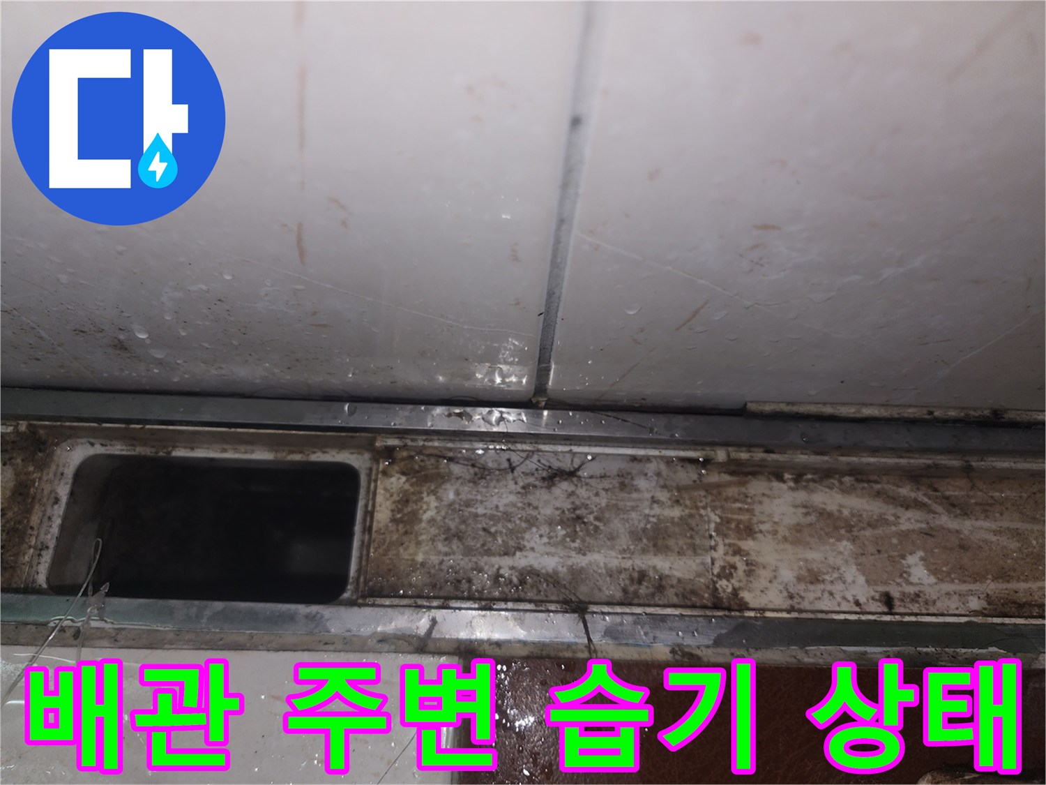싱크대 밑바닥 배관 근처의 젖어있는 마감재와 오염물