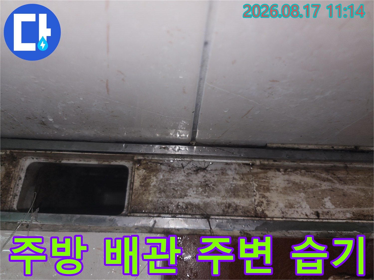 싱크대 하부장 내부의 젖은 배관과 오염된 마감재 상태