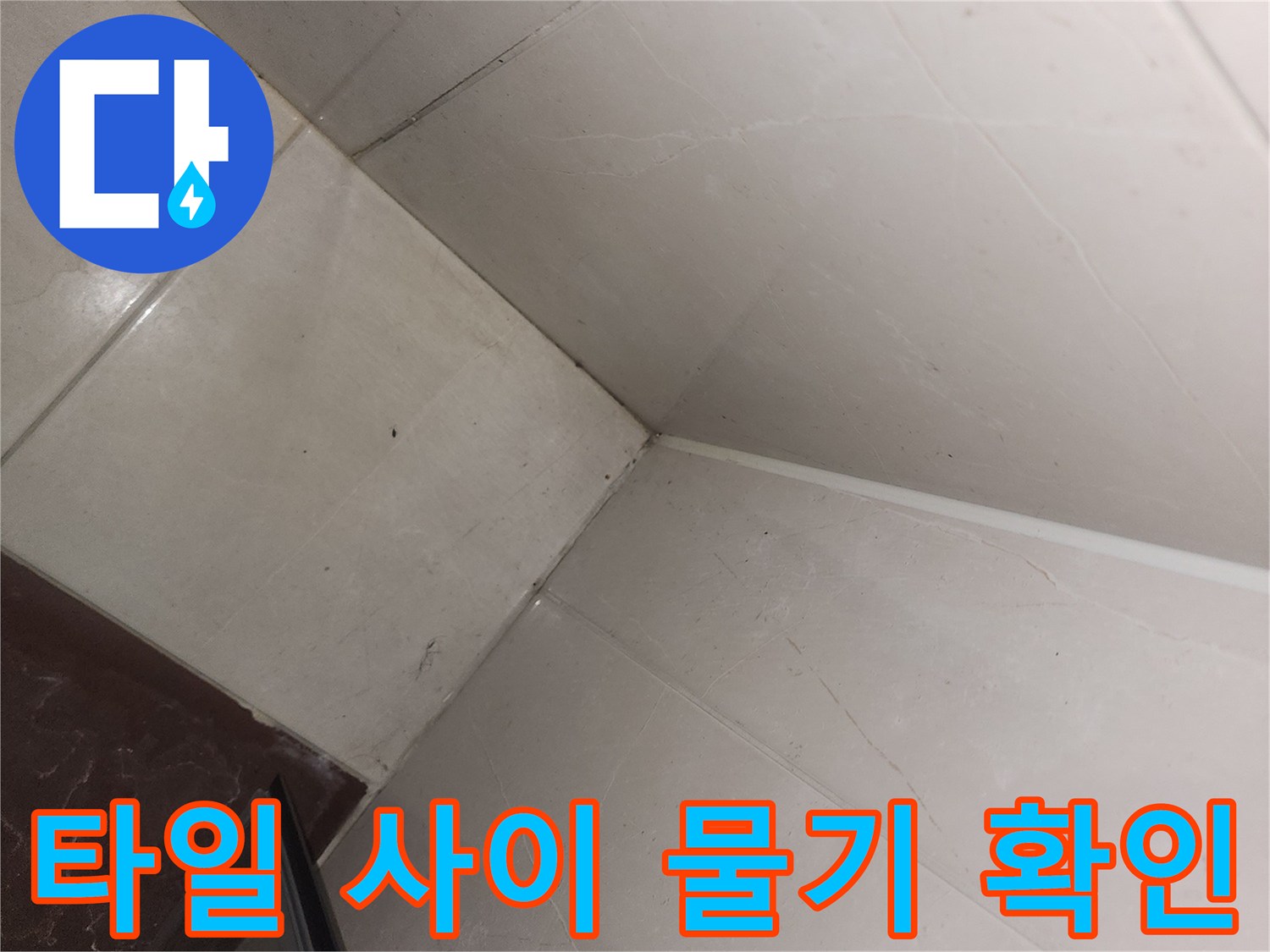 욕실-타일-경계-부위의-습윤한-상태