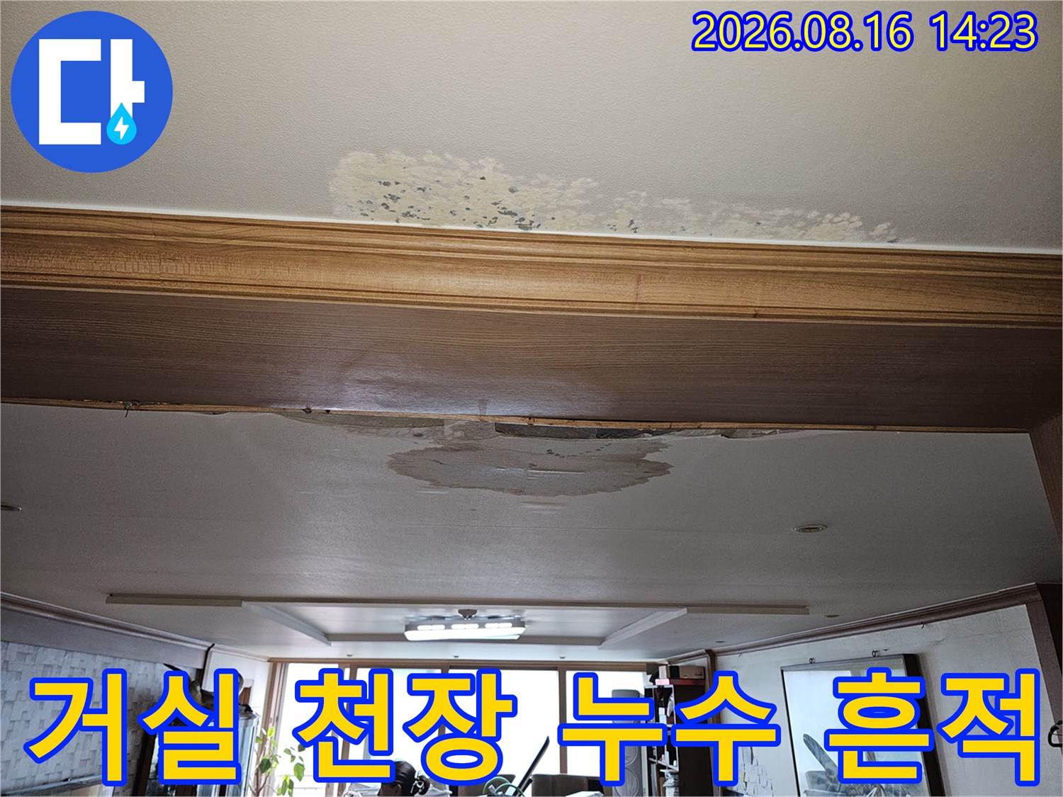 거실 천장 마감재에 발생한 불규칙한 모양의 물얼룩