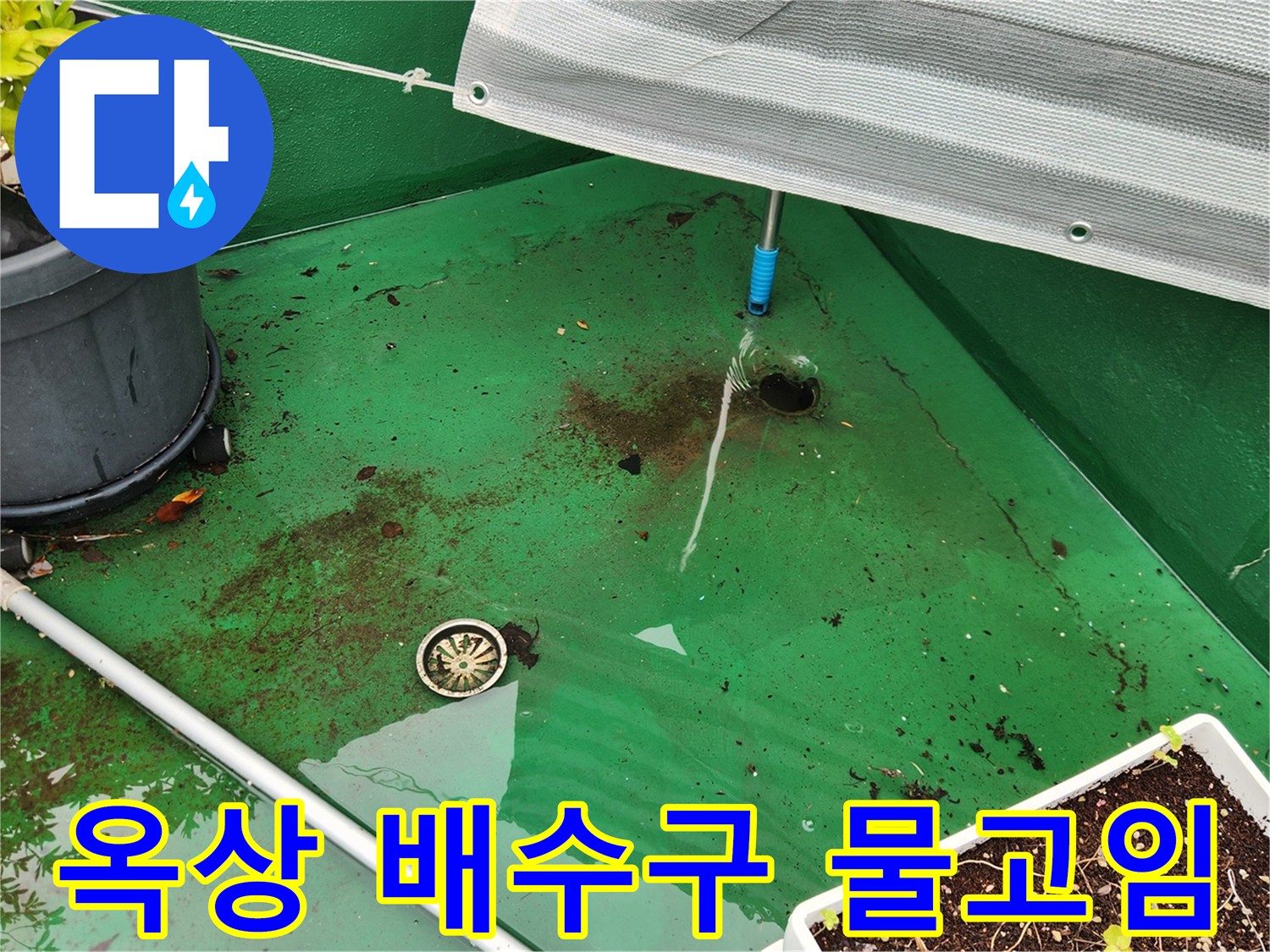 녹색 방수층 위에 물이 고여 있는 옥상 배수구 모습