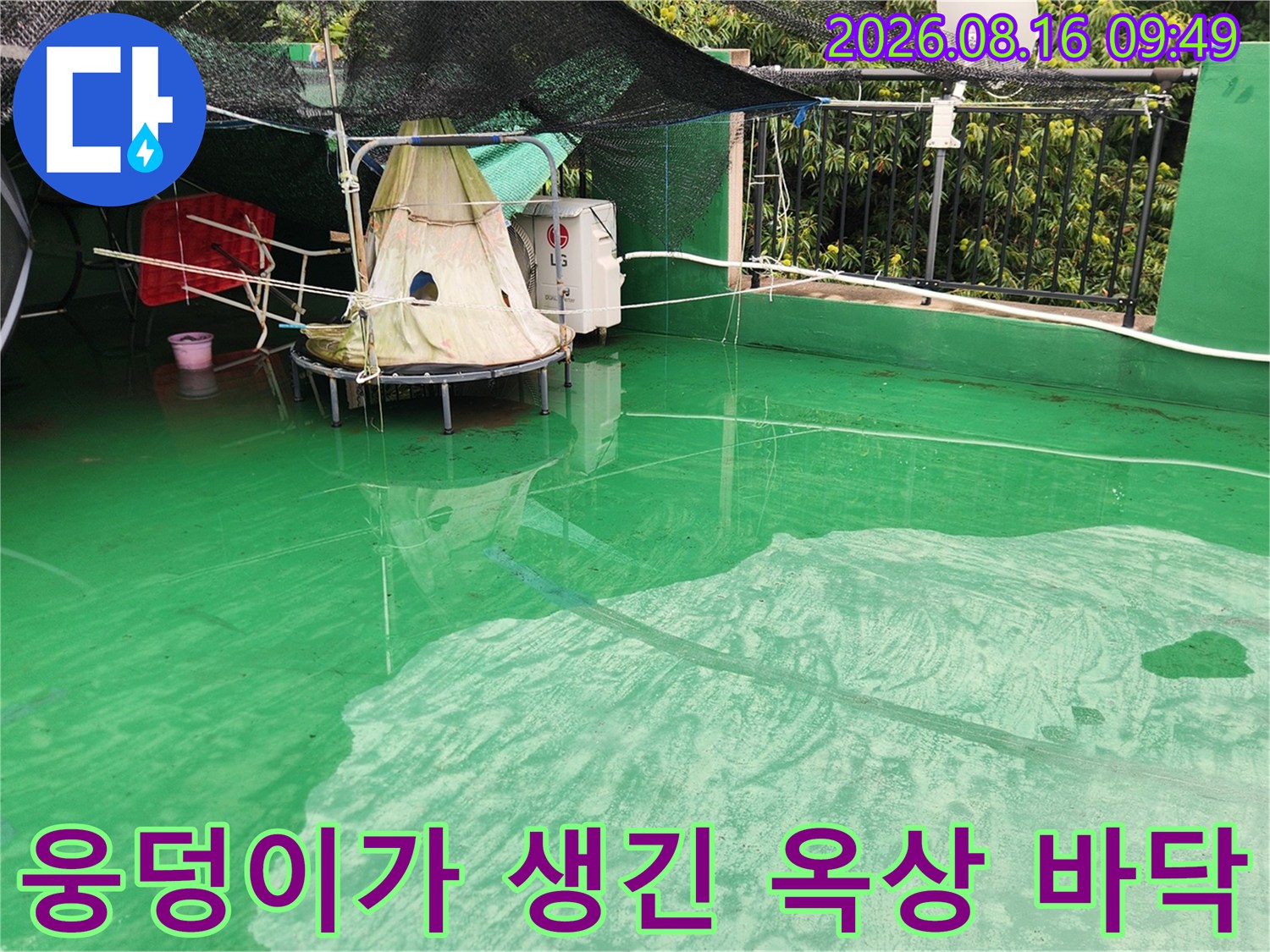 초록색 방수 도막 위에 물이 찰랑거리며 고여 있는 모습입니다.