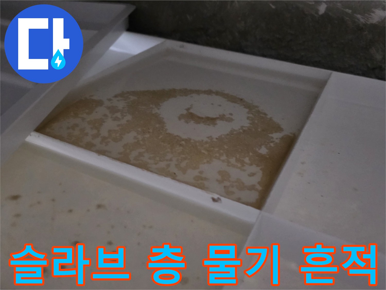 화장실 천장 슬라브의 젖은 범위와 습기 상태