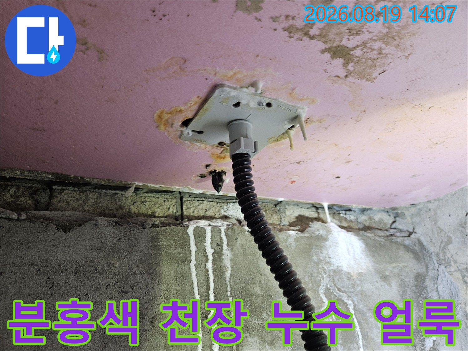 분홍색 도색된 천장에 나타난 누수 흔적과 물자국