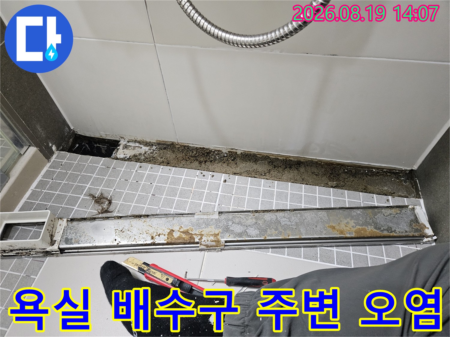 양주 옥정동 화장실 배수구 유가 주변의 곰팡이와 오염된 상태