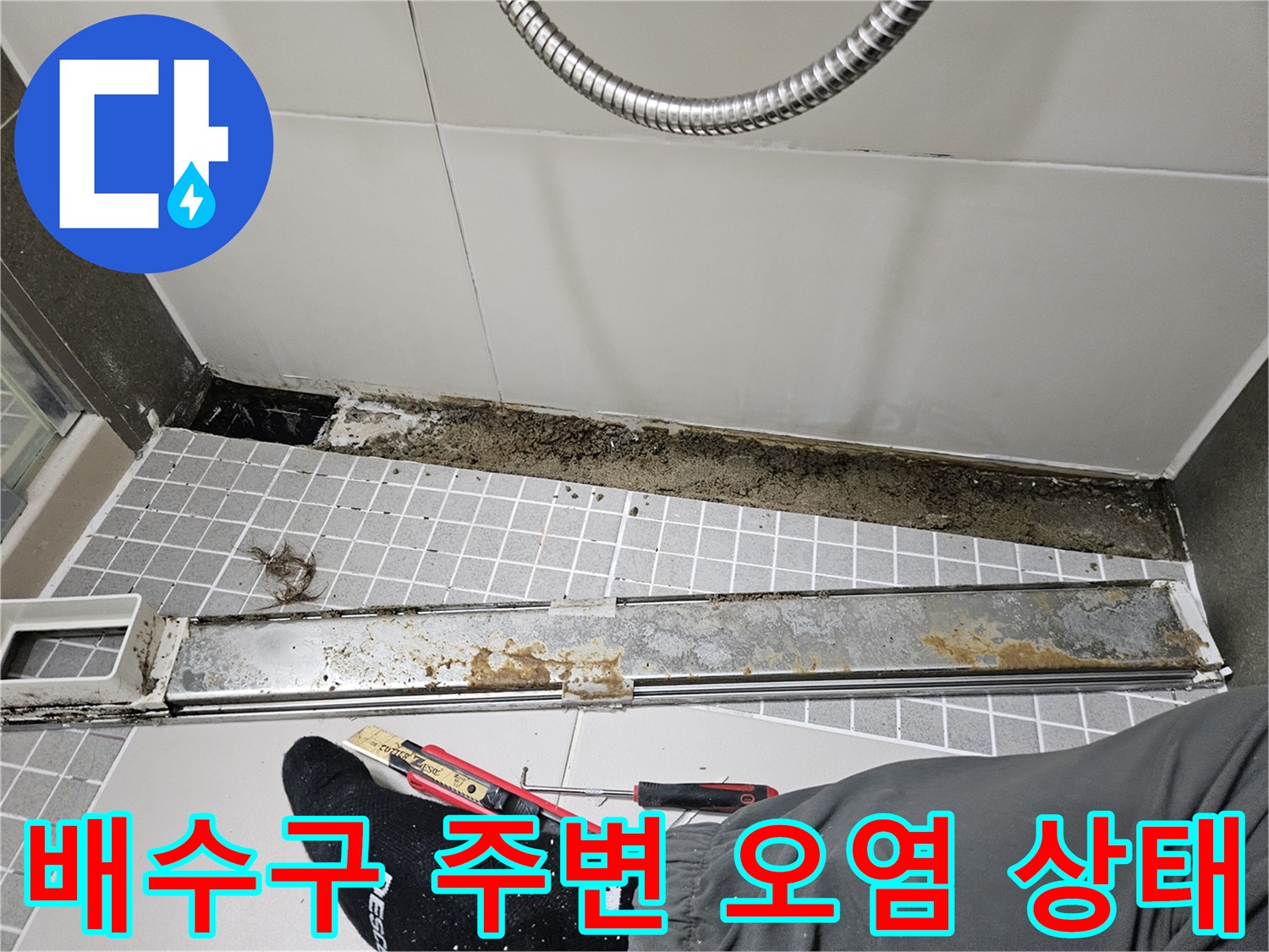 양주 옥정동-화장실 배수구 주변의 곰팡이와 물때 오염 상태