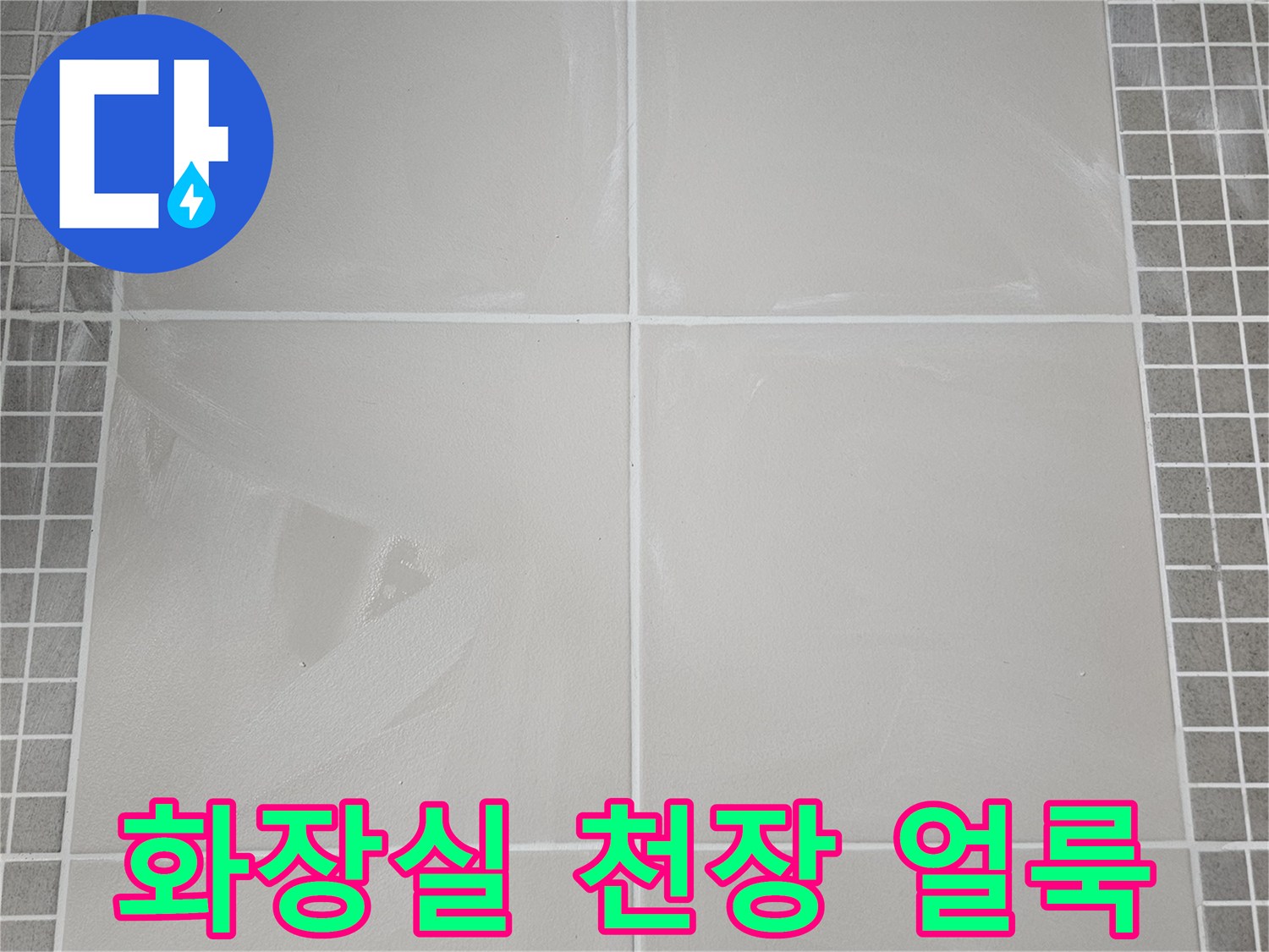 양주 옥정동-화장실 천장 타일 사이 물때와 얼룩 현상