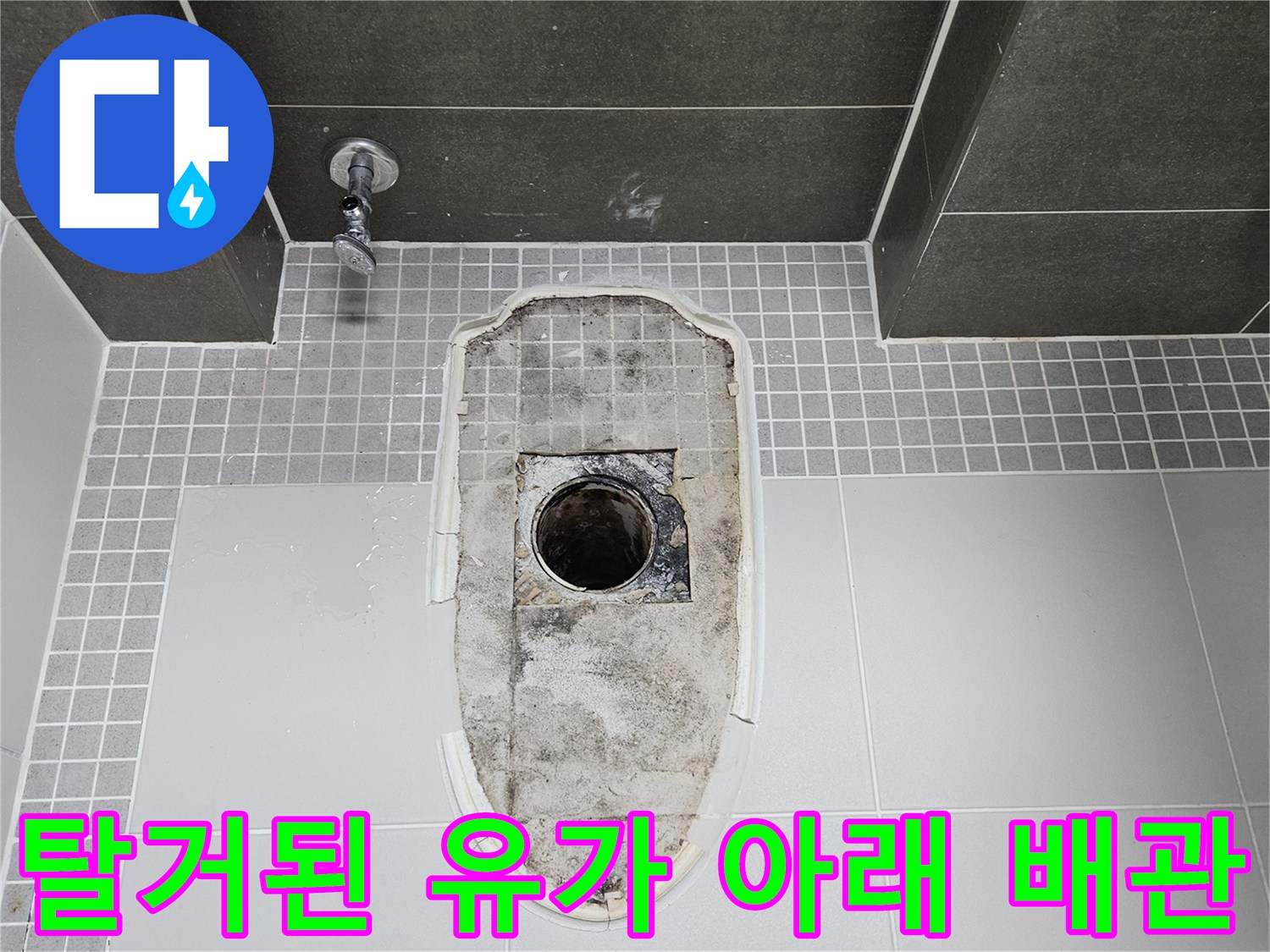 욕실-배수구-트랩-제거-후의-배관-틈새-상태