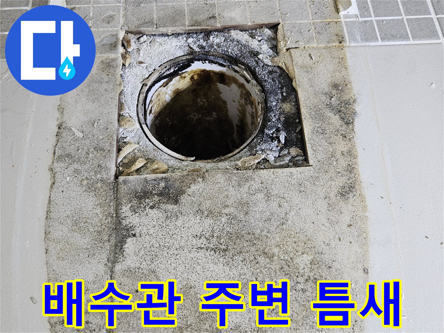 지저분하게-오염된-욕실-배수구-내부-및-배관-연결부