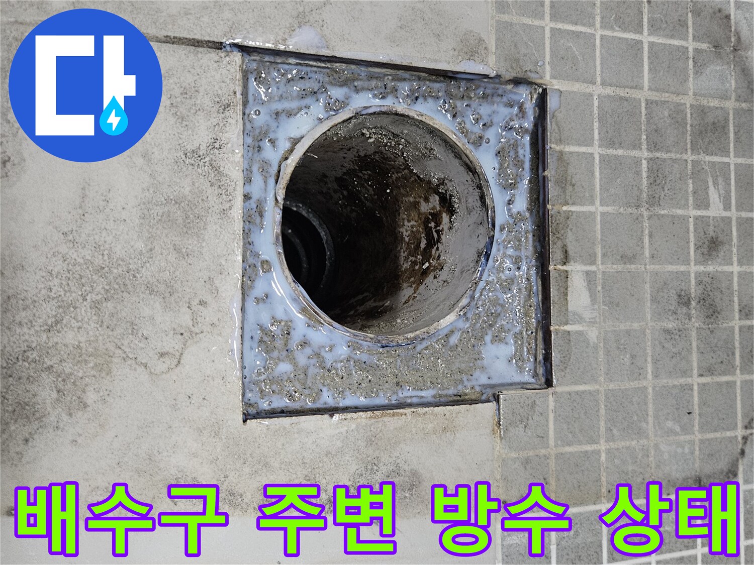 화장실-배수구-유가-주변-오염된-방수층-상태