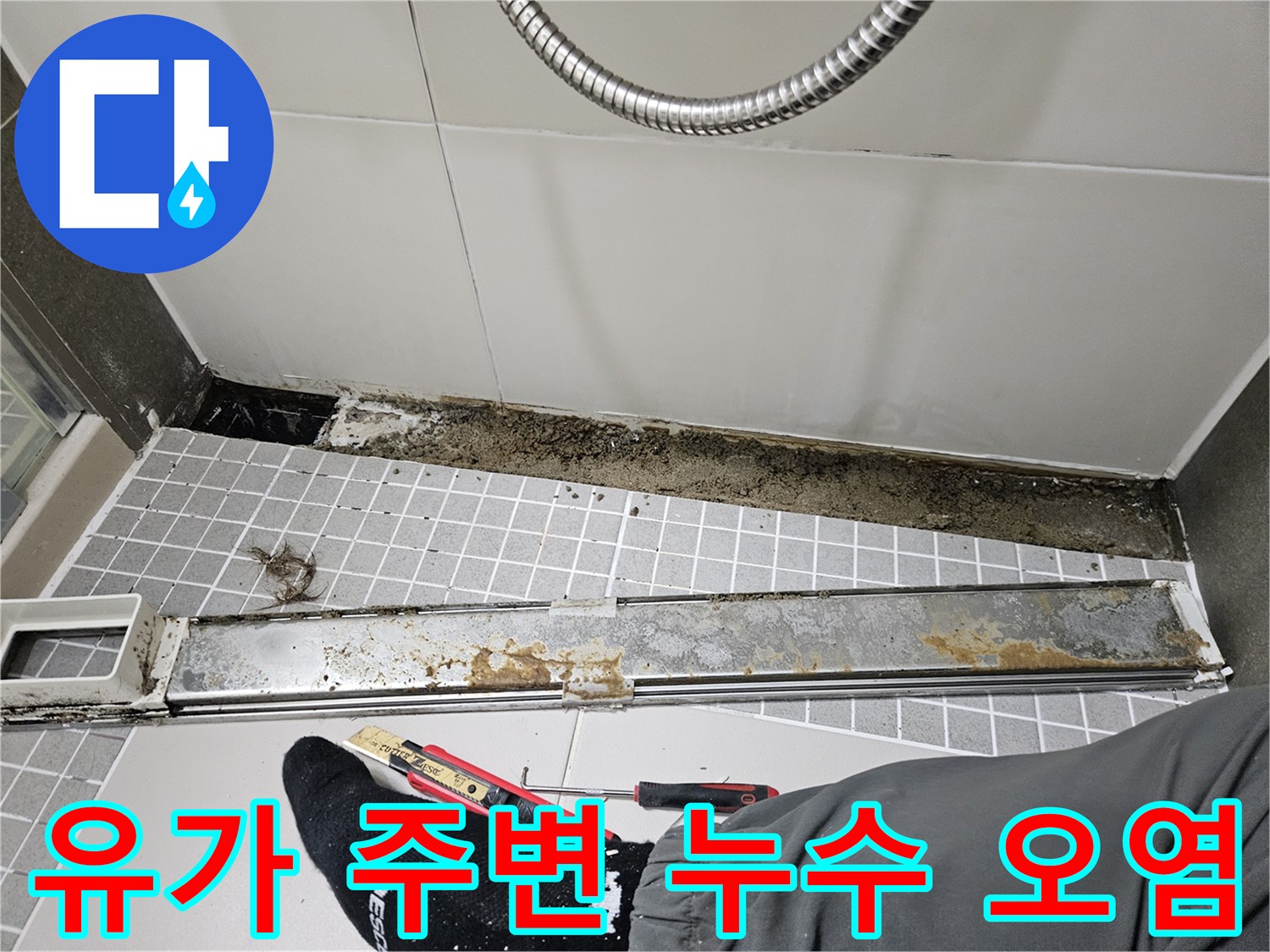화장실 유가 주변의 젖은 타일과 검은 곰팡이 흔적