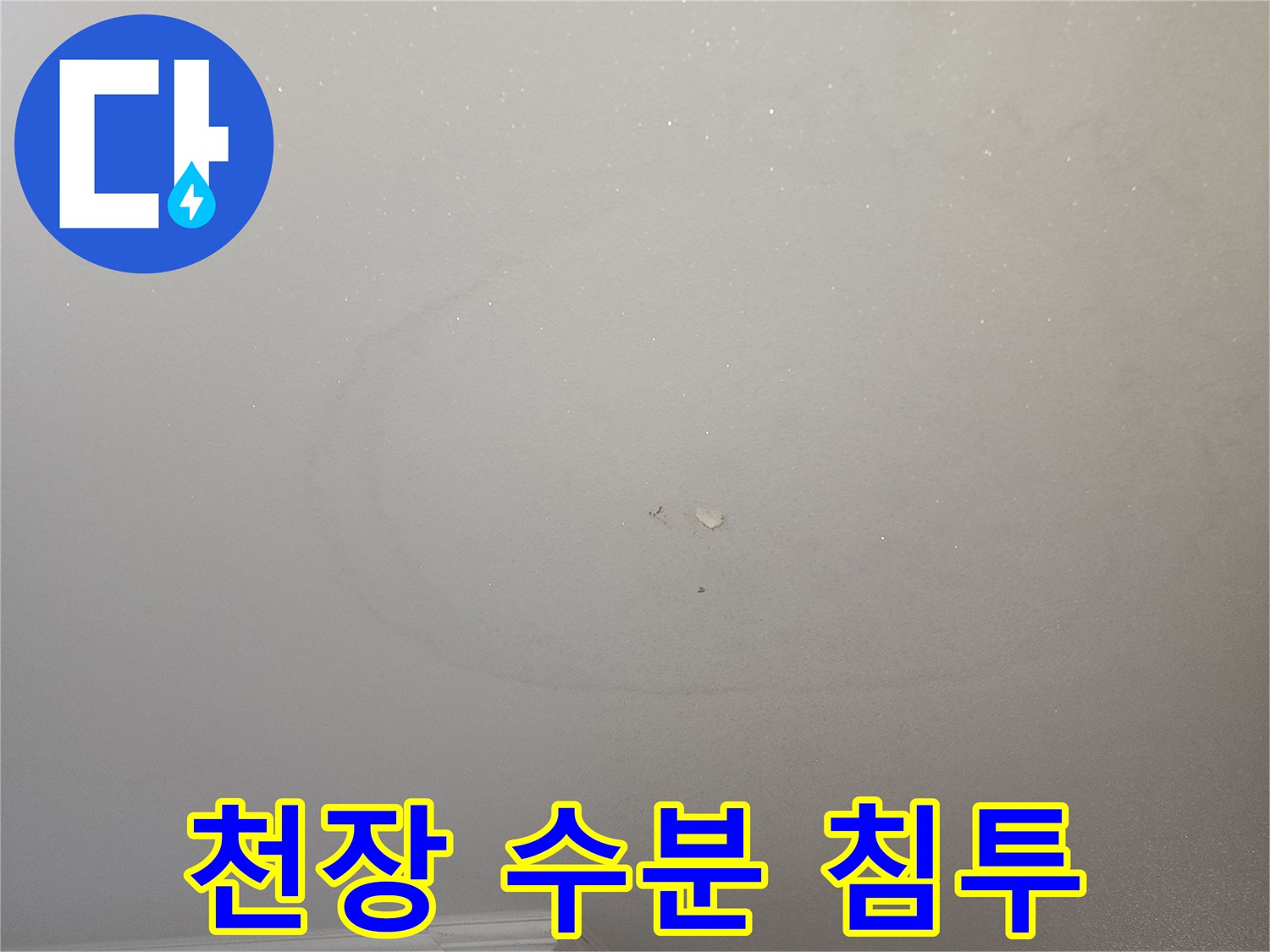 주방-천장에-발생한-축축한-물자국