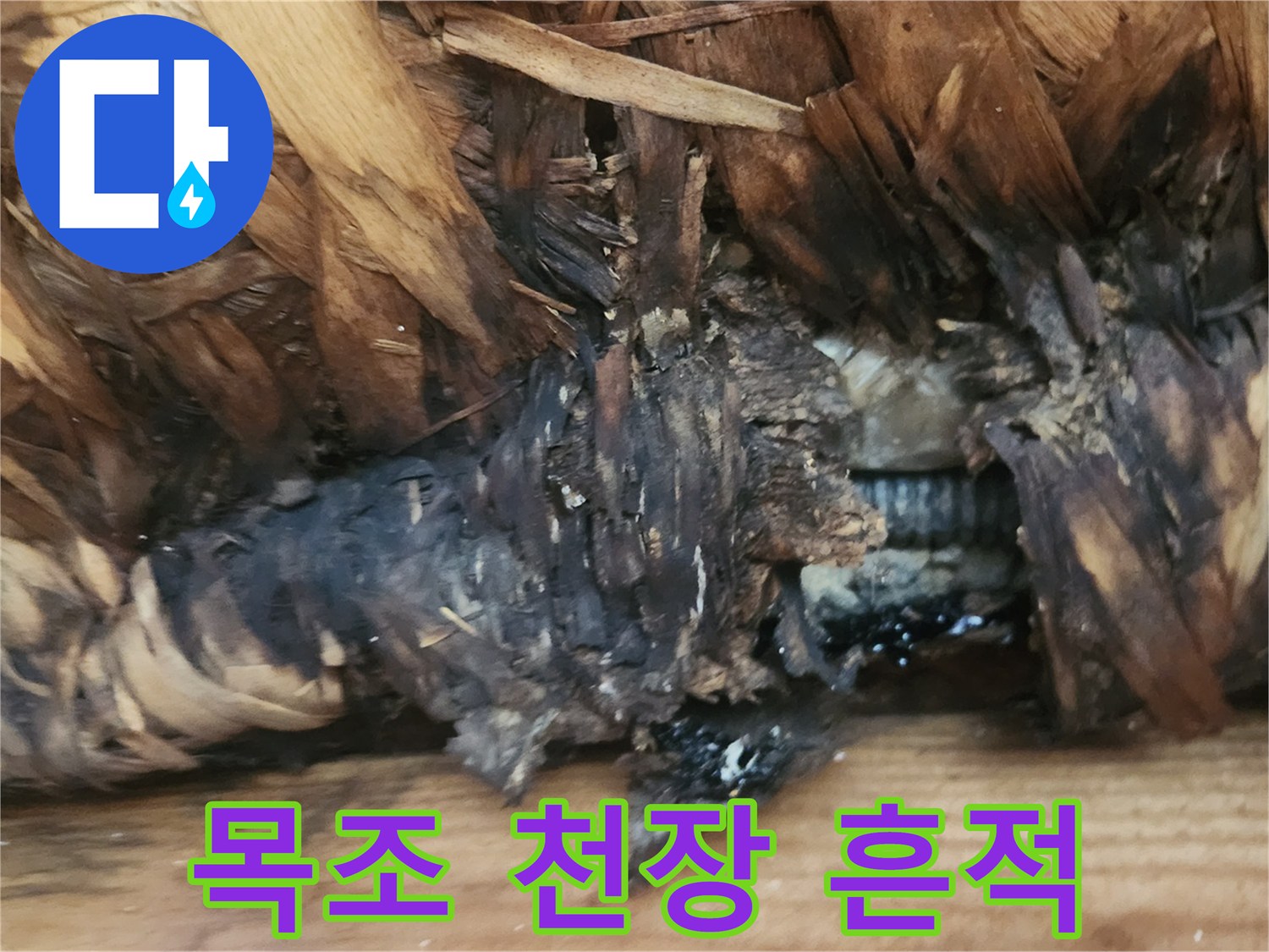 목조 구조물의 누수 흔적과 건조된 상태