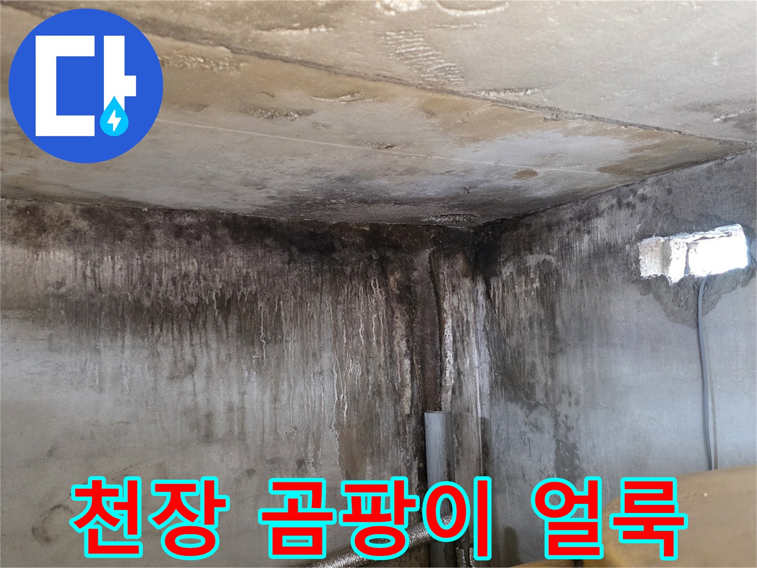 습기와 물샘으로 인해 변색된 천장 및 벽면 상태