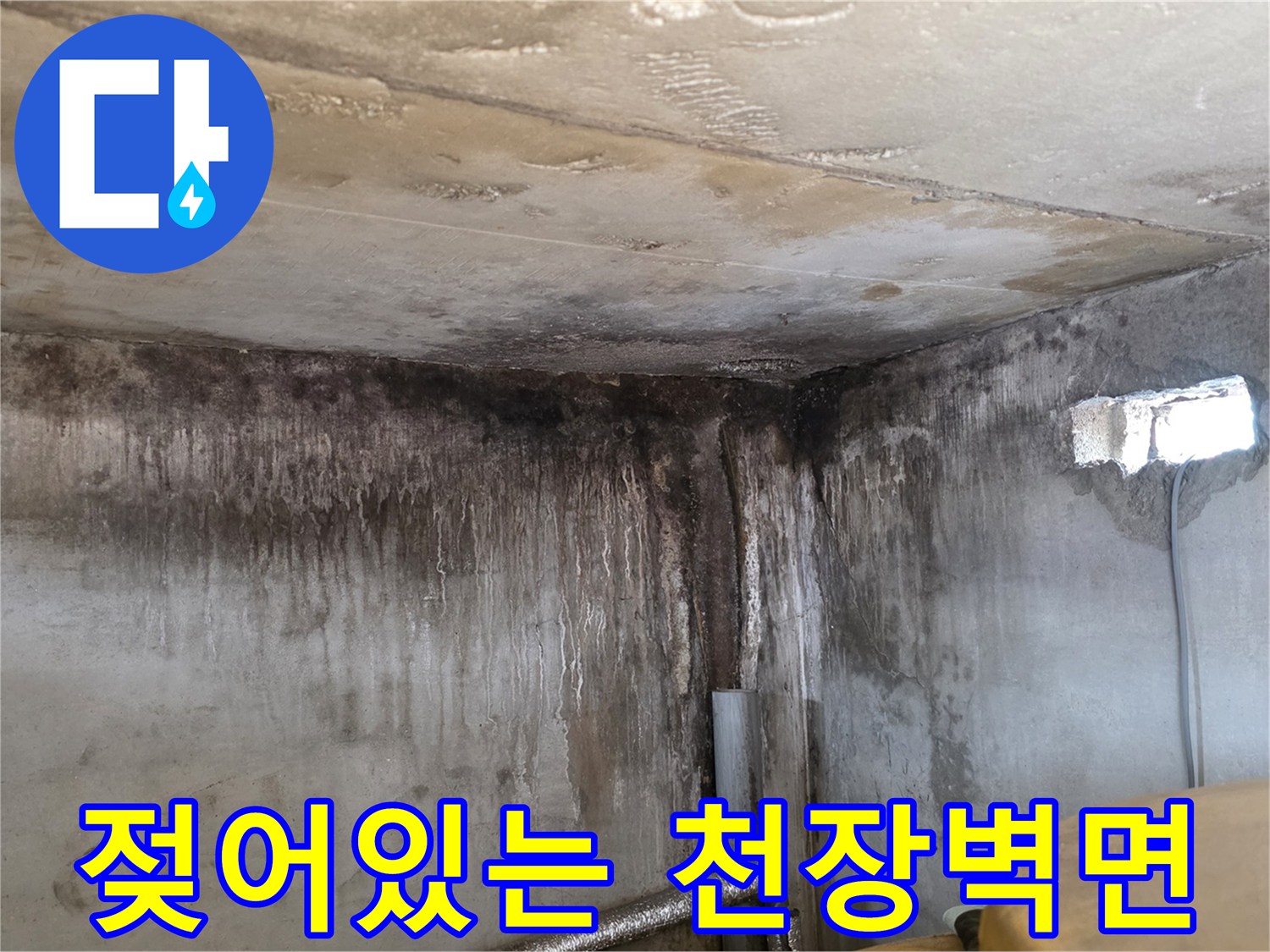 천장 벽체 경계-습기로 인해 검게 변한 곰팡이 흔적