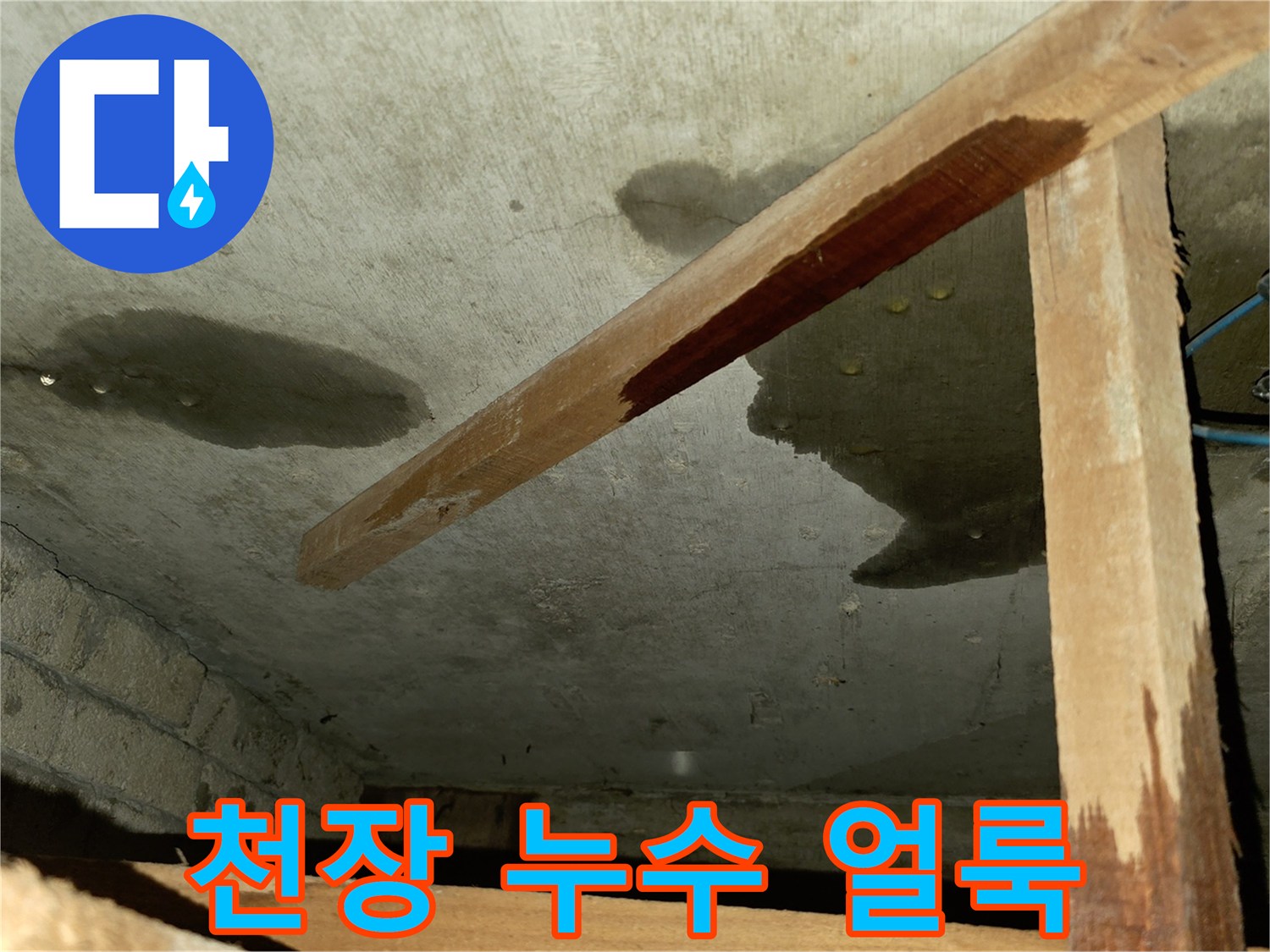 축축하게 젖어있는-천장 콘크리트의 누수 흔적