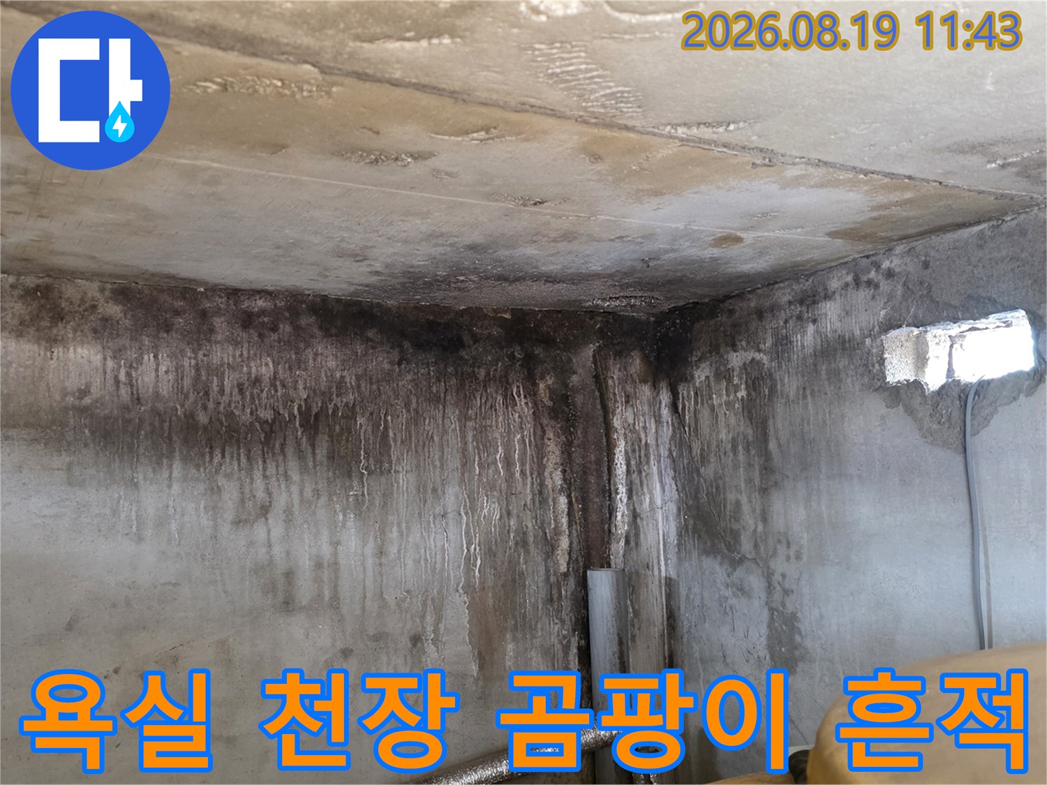 포천 신읍동 욕실 천장과 벽면에 발생한 심한 곰팡이와 누수 흔적