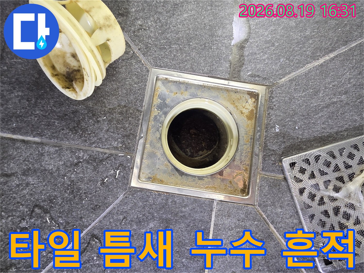 습기로 인해 변색된 타일 줄눈과 배수구 주변 상태