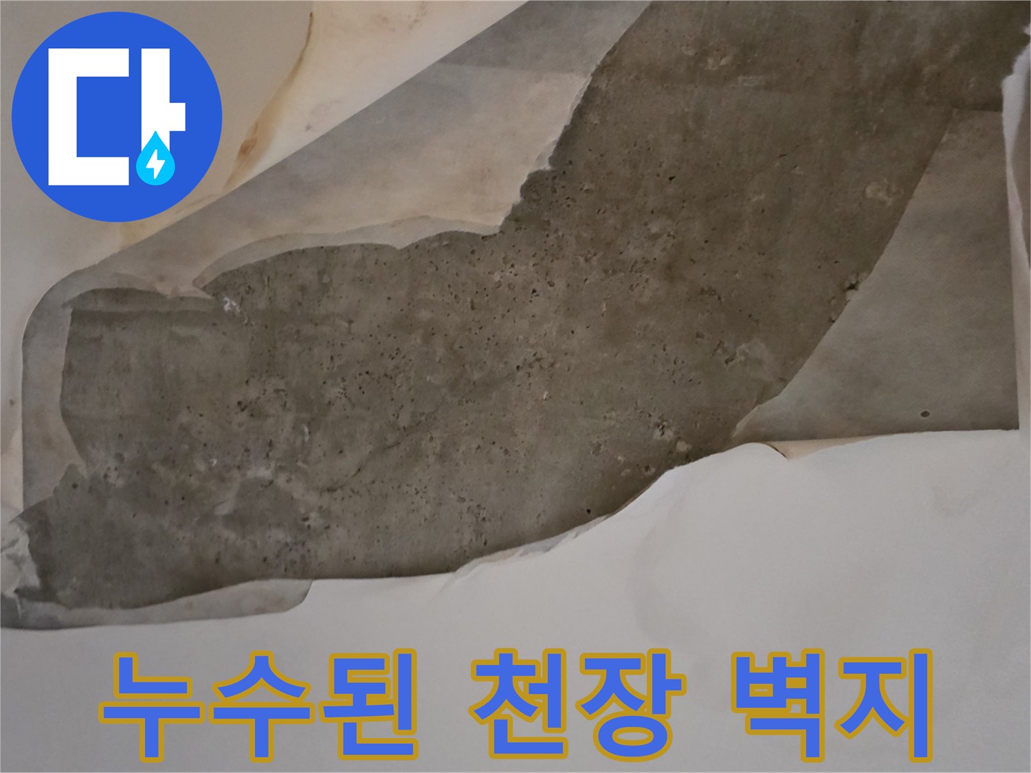 물에 젖어-떨어져 나가는-천장 도배지