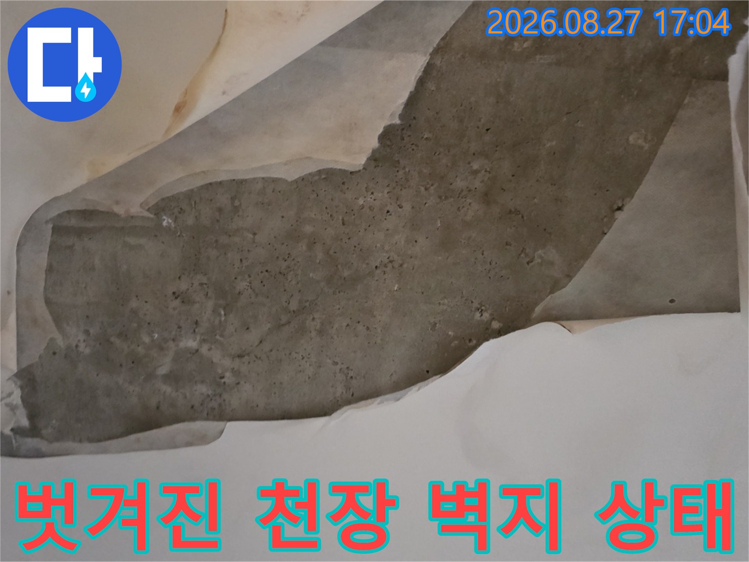 습기로 젖어 너덜거리는 천장 도배지와 콘크리트 노출 부위-다산동