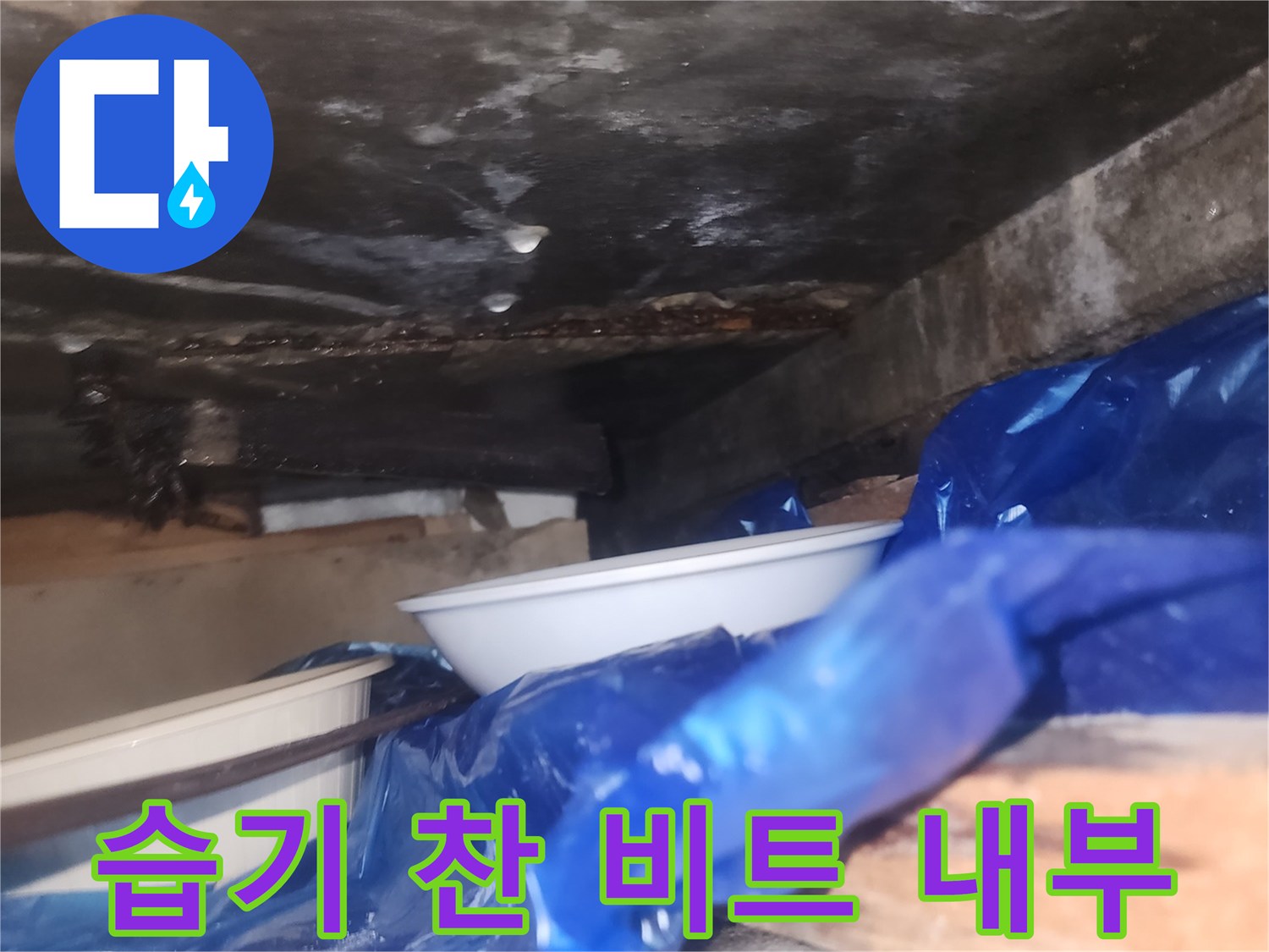 물샘-흔적으로-갈색으로-변한-비트실-내부-철근