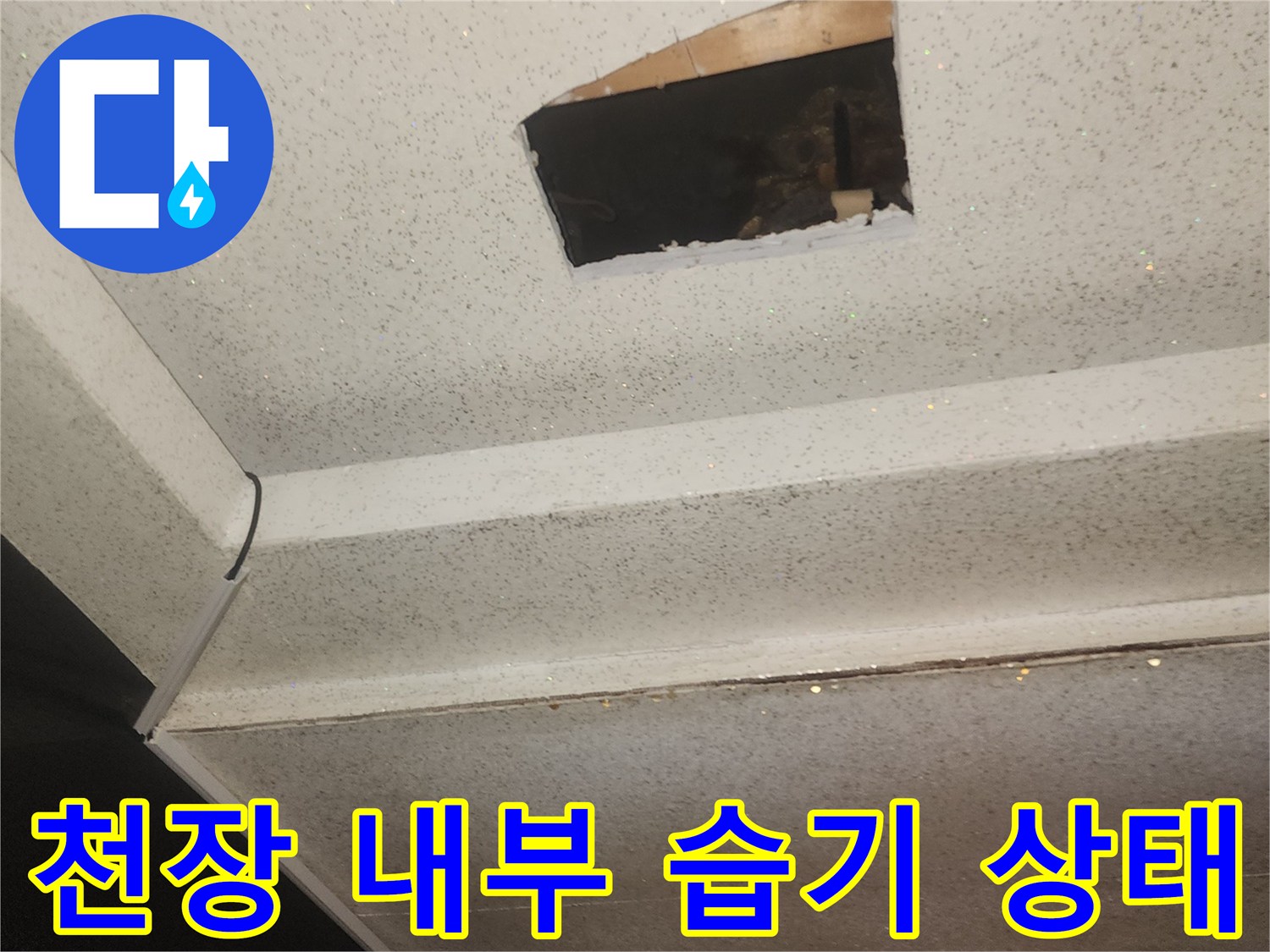 천장 마감재 틈으로 확인된 침수 흔적
