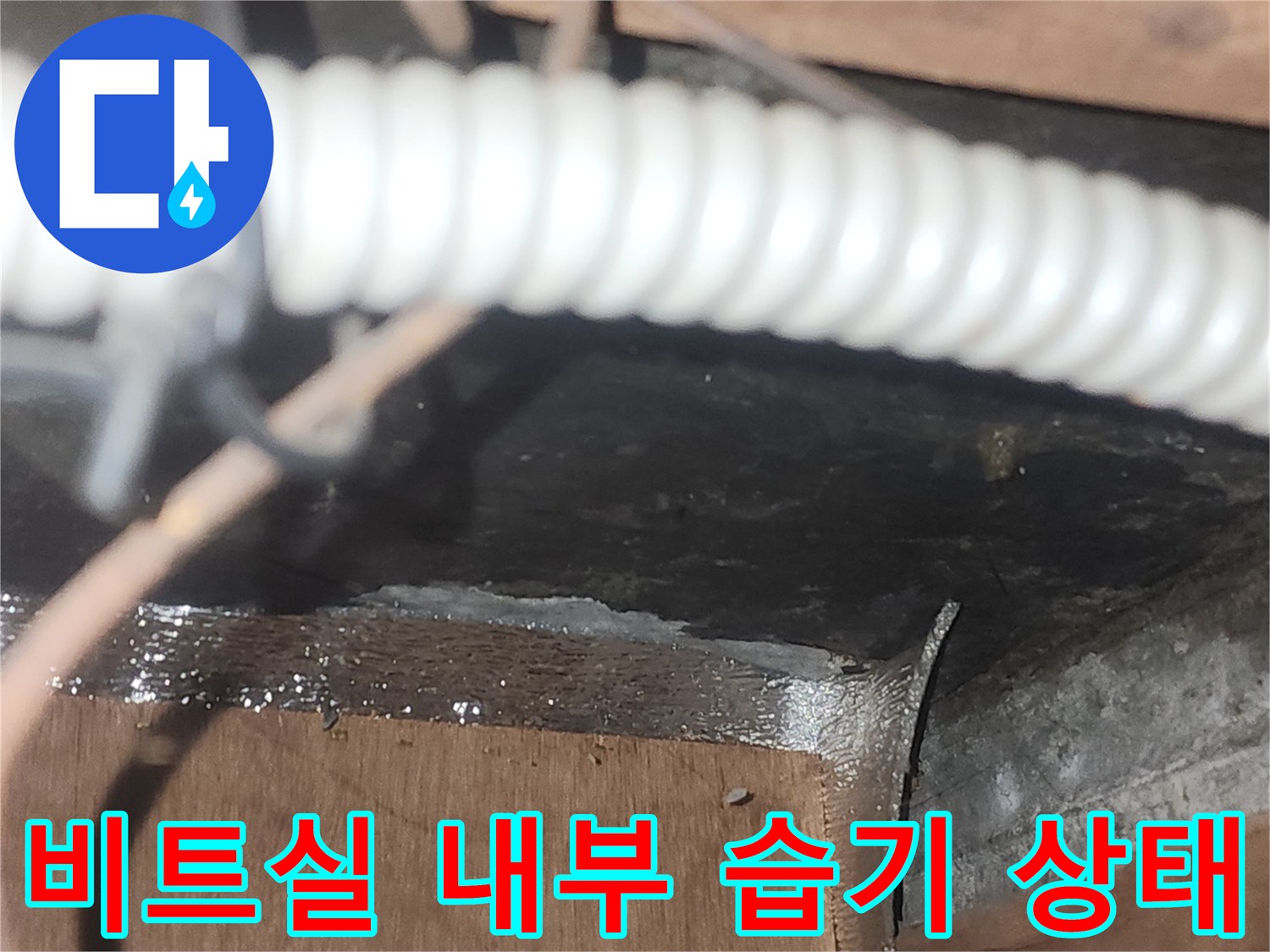 축축하게 젖은-비트실 내부의-배관 노출 부위