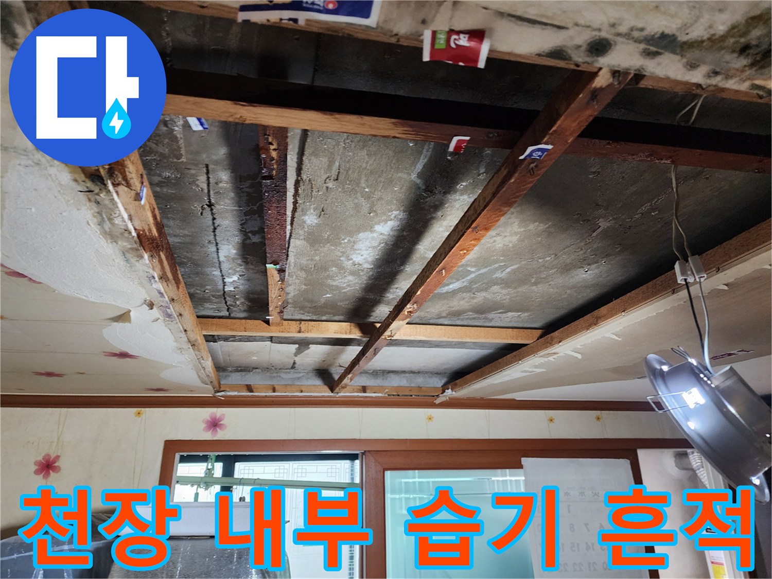 배관 주변의 물자국-습기로 인한 곰팡이 발생 현황
