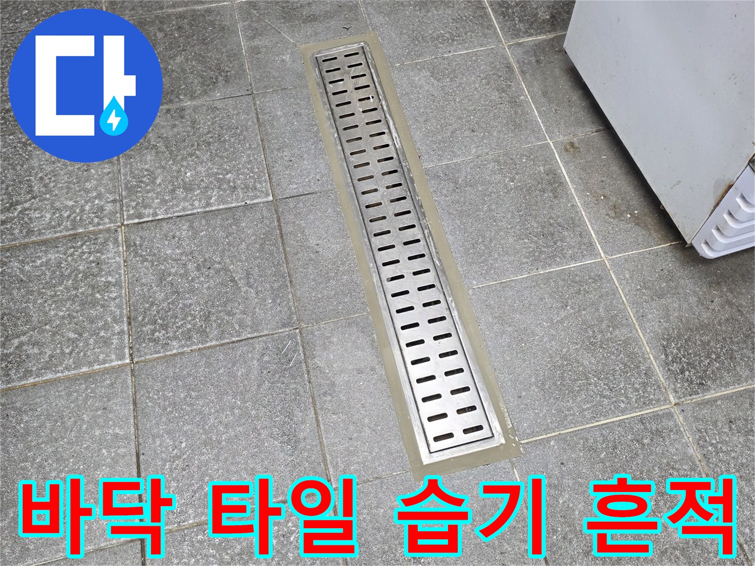배수구 주변의 젖은 듯한 타일 상태-누수 의심 부위