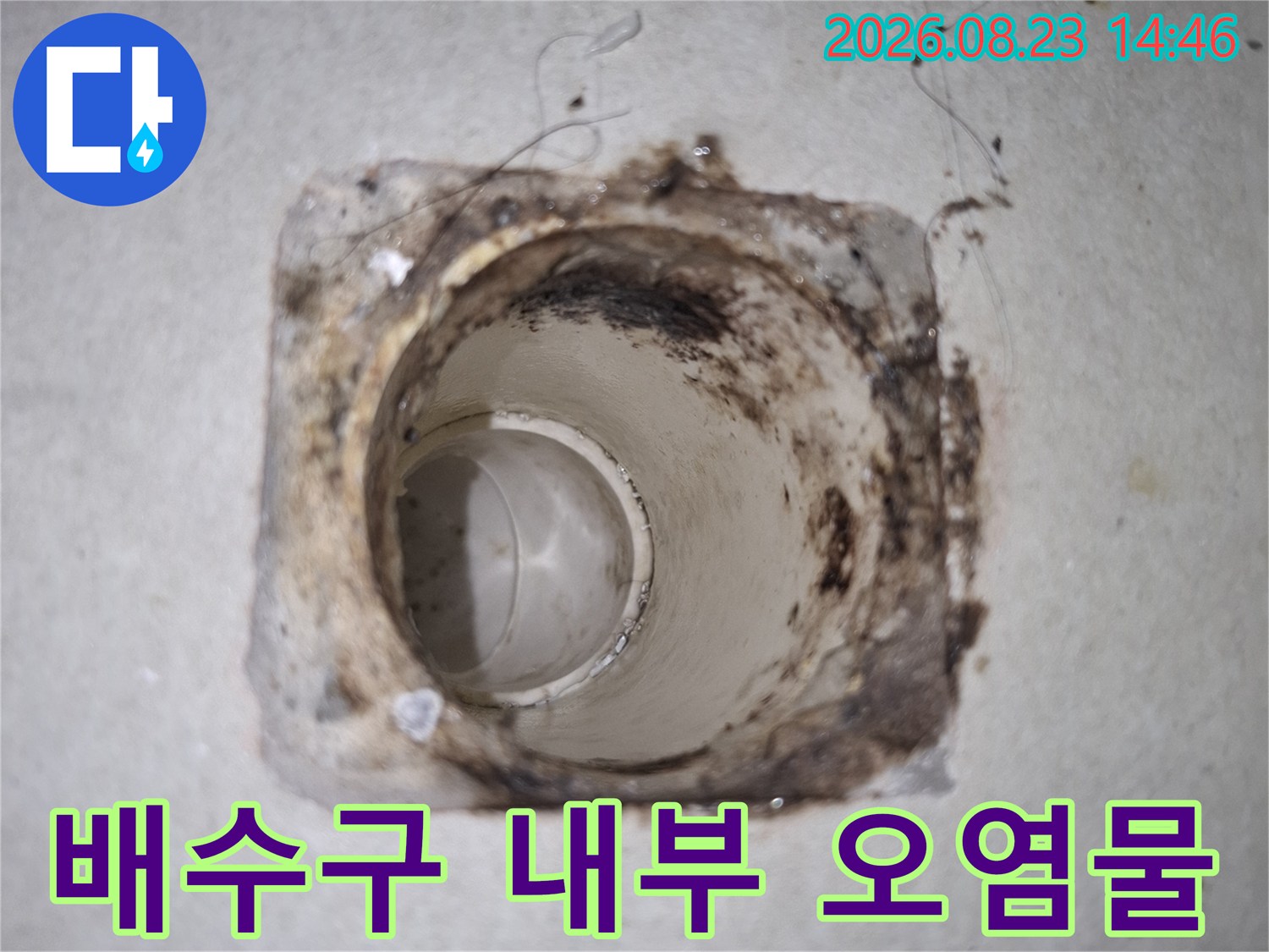 배수관 입구 주변의 찌꺼기와 오염된 상태를 보여줍니다.