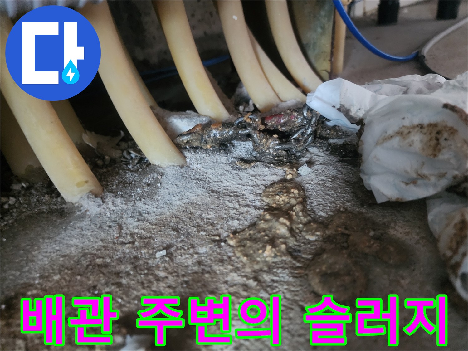 복잡한-배관-사이-발생한-역류-흔적