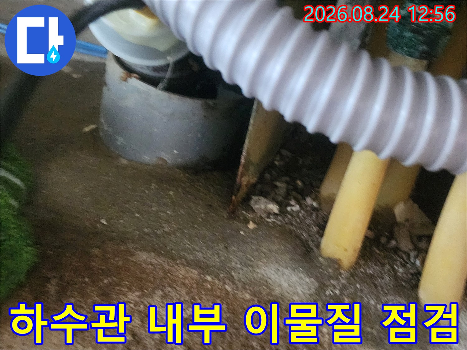 하수관 입구에 연결된 호스와 주변 배관의 오염 상태 확인