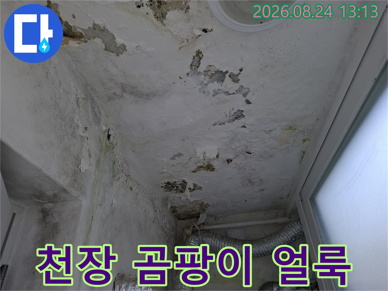 누수로 인한 천장 마감재의 심한 변색과 곰팡이 현상