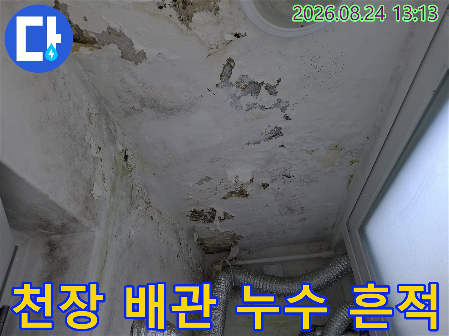 배관 주변 천장 마감재의 심한 변색과 곰팡이 발생