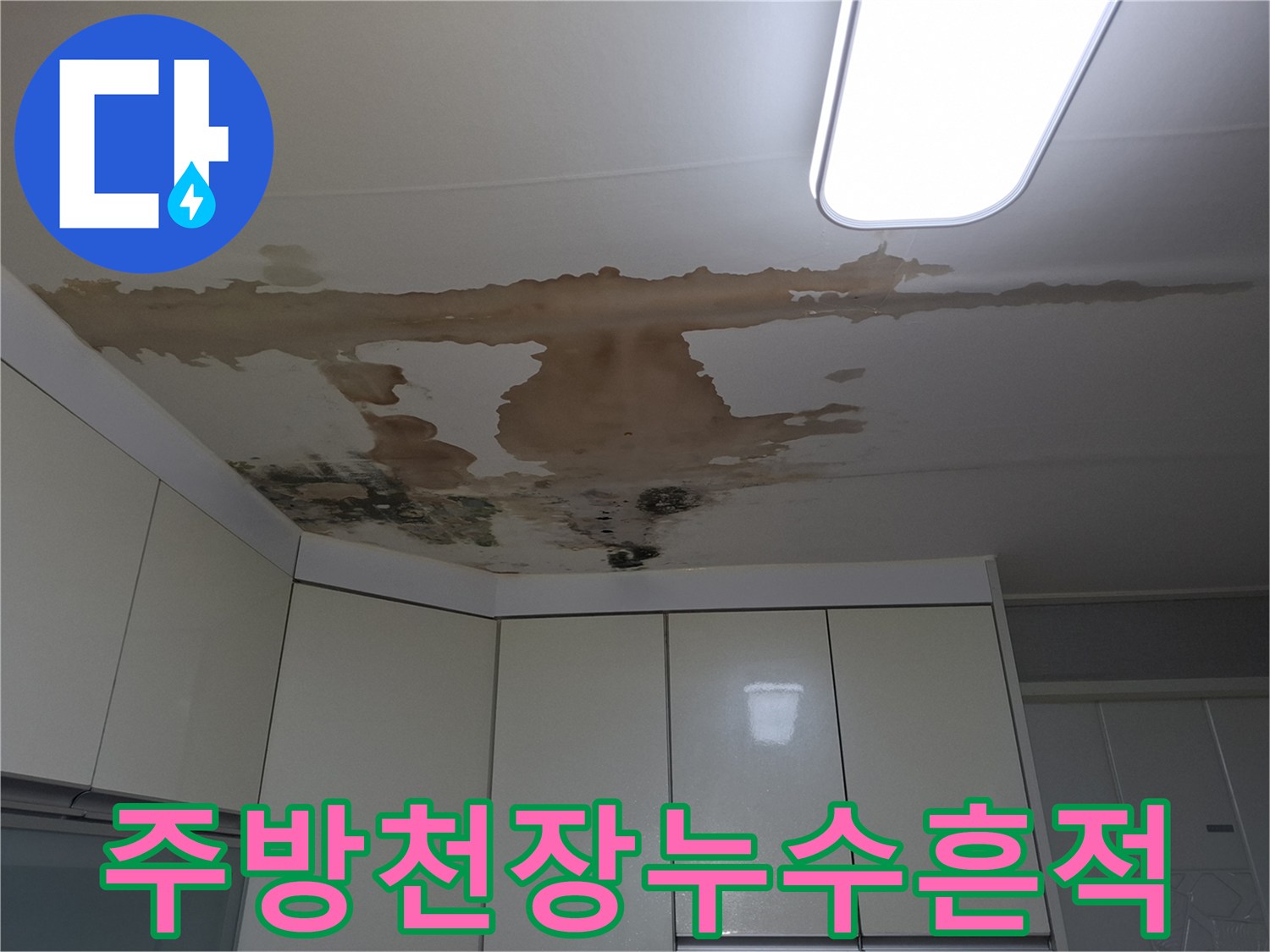 여주시 현암동 주방 천장의 물에 젖은 변색 흔적과 곰팡이 상태