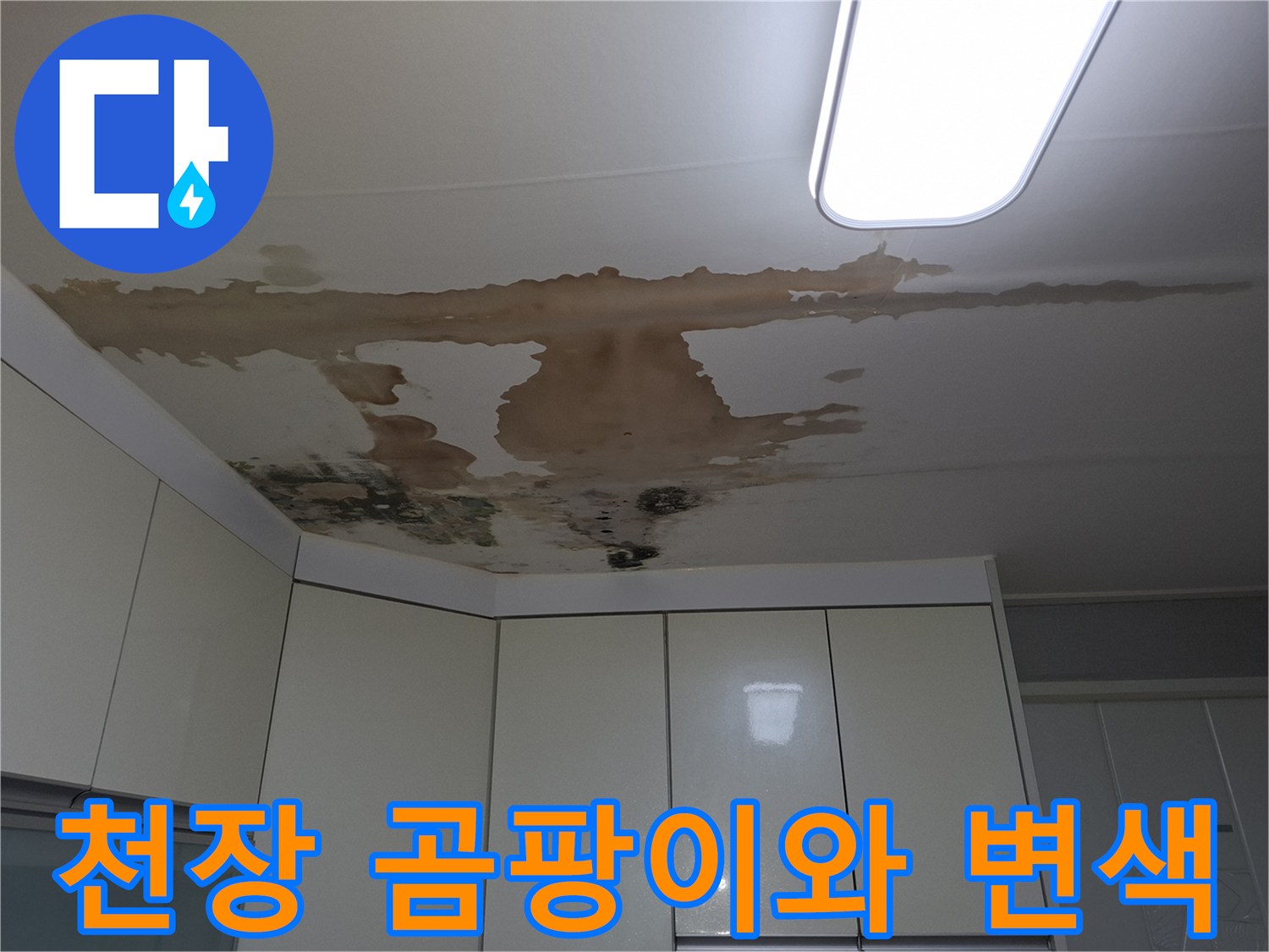 주방 천장 구석-누수로 인한 검은 곰팡이 발생