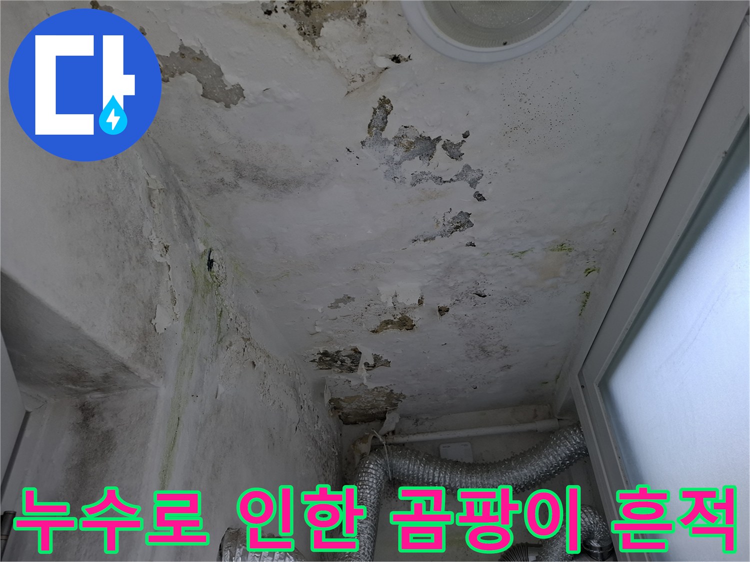 천장 마감재의 누수 변색과 곰팡이 오염 상태