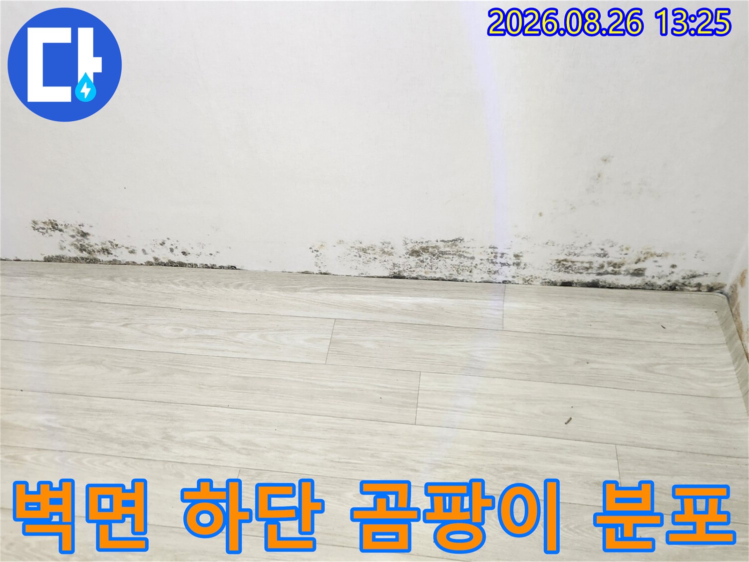 벽면과 바닥 경계-검게 발생한 곰팡이 오염 부위